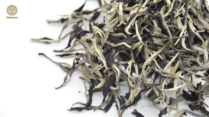 bạch trà shan tuyết cổ thụ hảo hạn