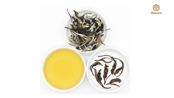 bạch trà shan tuyết