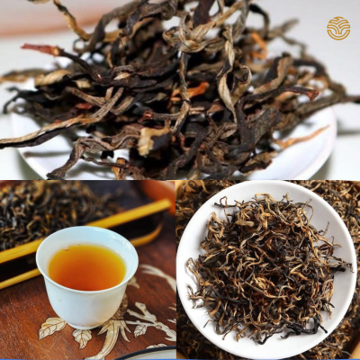 Cận búp hồng trà shan tuyết cổ thụ