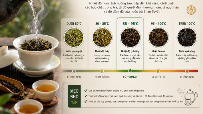 Mẹo pha trà ngon hơn và chuẩn vị tăng cảm giác trải nghiệm khi uống trà shan tuyết