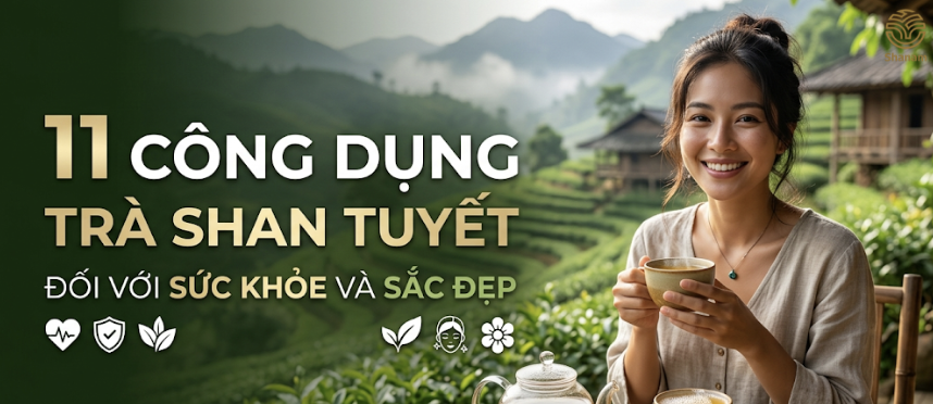 11 Công dụng trà Shan Tuyết đối với sức khỏe và sắc đẹp