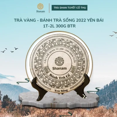 Bánh trà sống