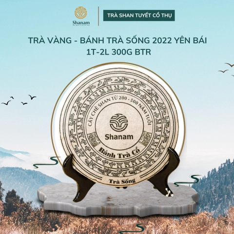 Bánh trà sống Bánh trà sống