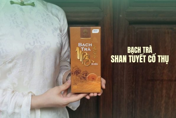 bạch trà shan tuyết